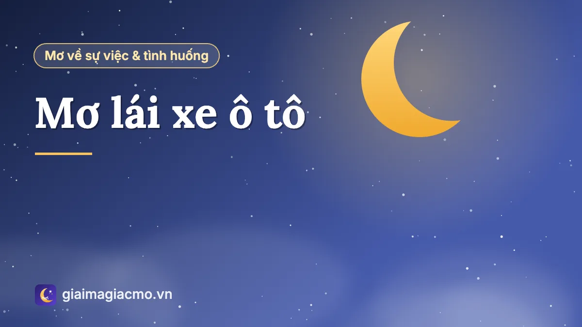 Minh hoạ giấc mơ thấy mình lái xe ô tô trên đường