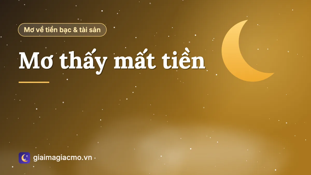 Minh hoạ giấc mơ thấy mất tiền, đánh rơi ví