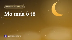 Minh hoạ giấc mơ mua ô tô mới tại showroom