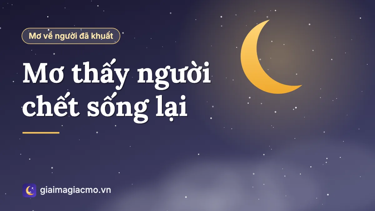 Minh hoạ giải mã giấc mơ thấy người chết sống lại