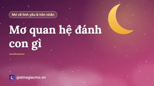 Minh hoạ tra cứu con số khi mơ quan hệ theo sổ mơ dân gian