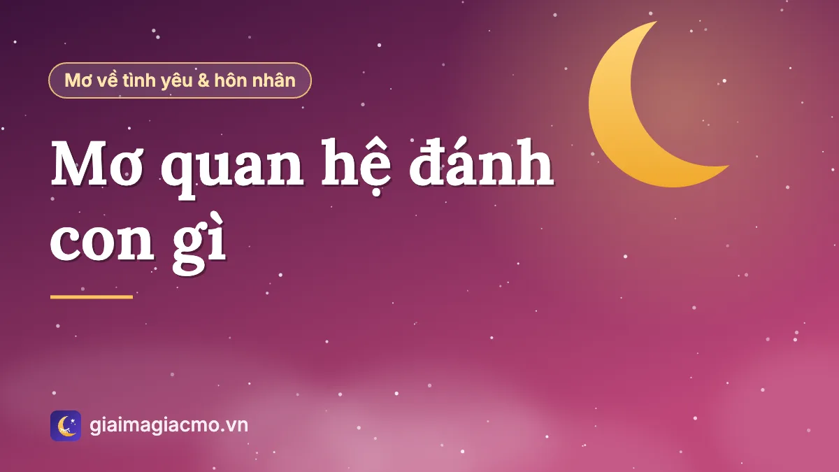 Minh hoạ tra cứu con số khi mơ quan hệ theo sổ mơ dân gian