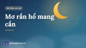 Minh hoạ giấc mơ bị rắn hổ mang bành cổ cắn