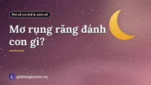 Mơ rụng răng đánh con gì?