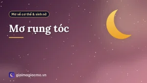 Mơ rụng tóc