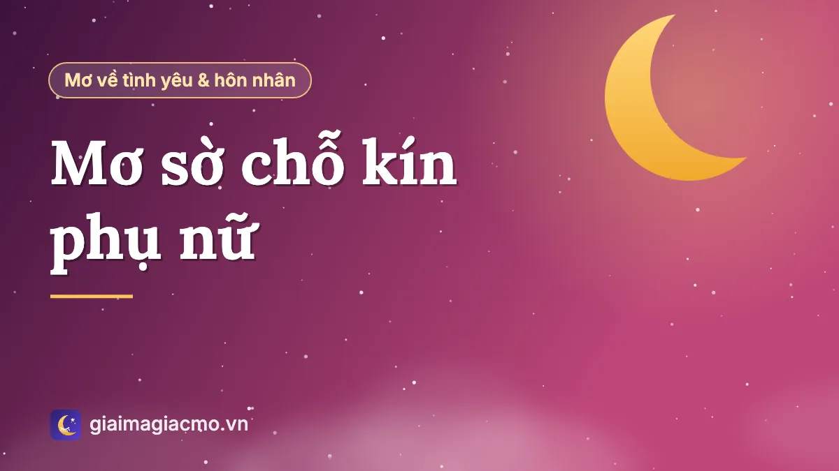 Minh hoạ giải mã giấc mơ thân mật, sờ chỗ kín phụ nữ