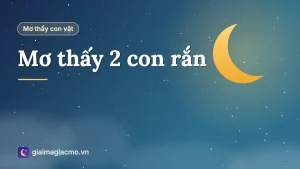 Minh hoạ giải mã giấc mơ thấy 2 con rắn quấn vào nhau