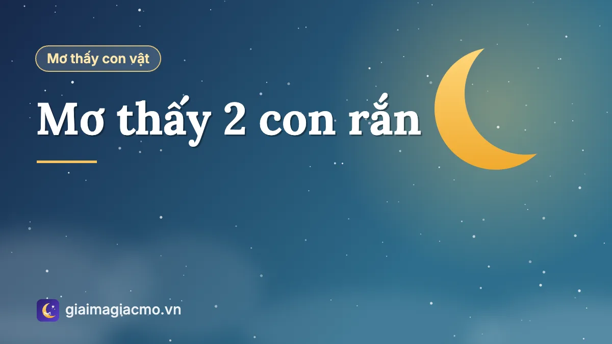 Minh hoạ giải mã giấc mơ thấy 2 con rắn quấn vào nhau