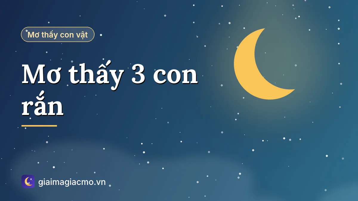 Minh hoạ giải mã giấc mơ thấy 3 con rắn