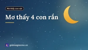 Mơ thấy 4 con rắn