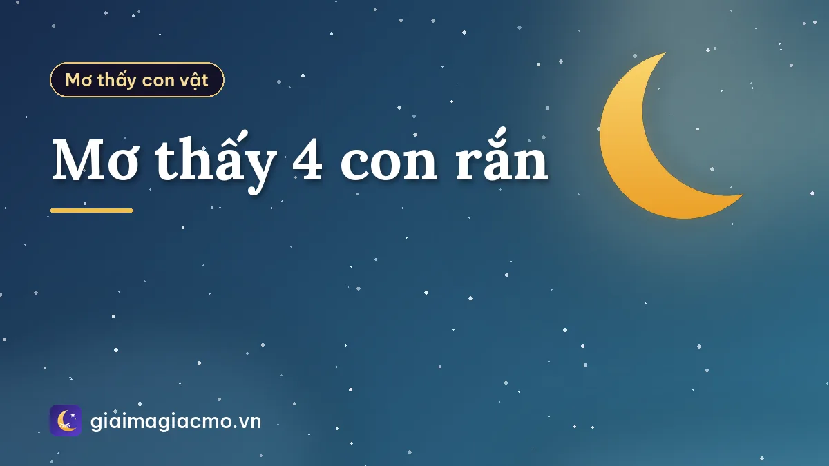 Mơ thấy 4 con rắn