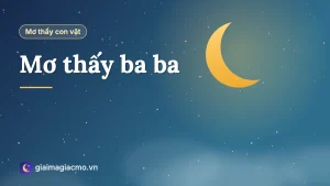 Minh hoạ giấc mơ thấy con ba ba bơi dưới nước