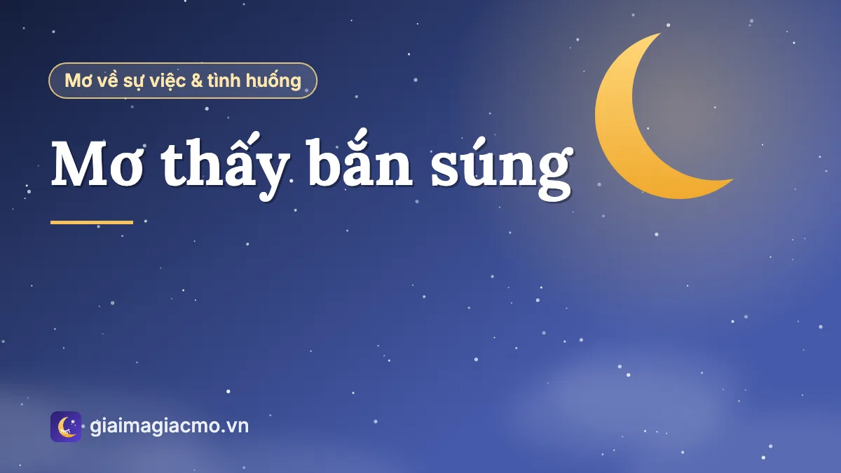 Minh hoạ khẩu súng và tấm bia tập bắn trong giấc mơ