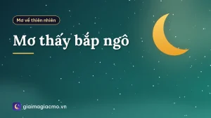 Mơ thấy bắp ngô