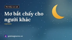 Mơ bắt chấy cho người khác