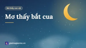 Minh hoạ giấc mơ đi bắt cua đồng ngoài ruộng