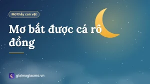 Minh hoạ giải mã giấc mơ bắt được cá rô đồng ngoài ruộng