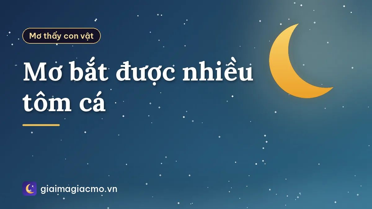 Mơ bắt được nhiều tôm cá