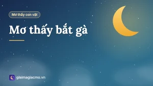 Minh hoạ giấc mơ bắt gà trống ngoài sân nhà