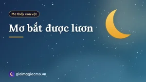 Mơ bắt được lươn