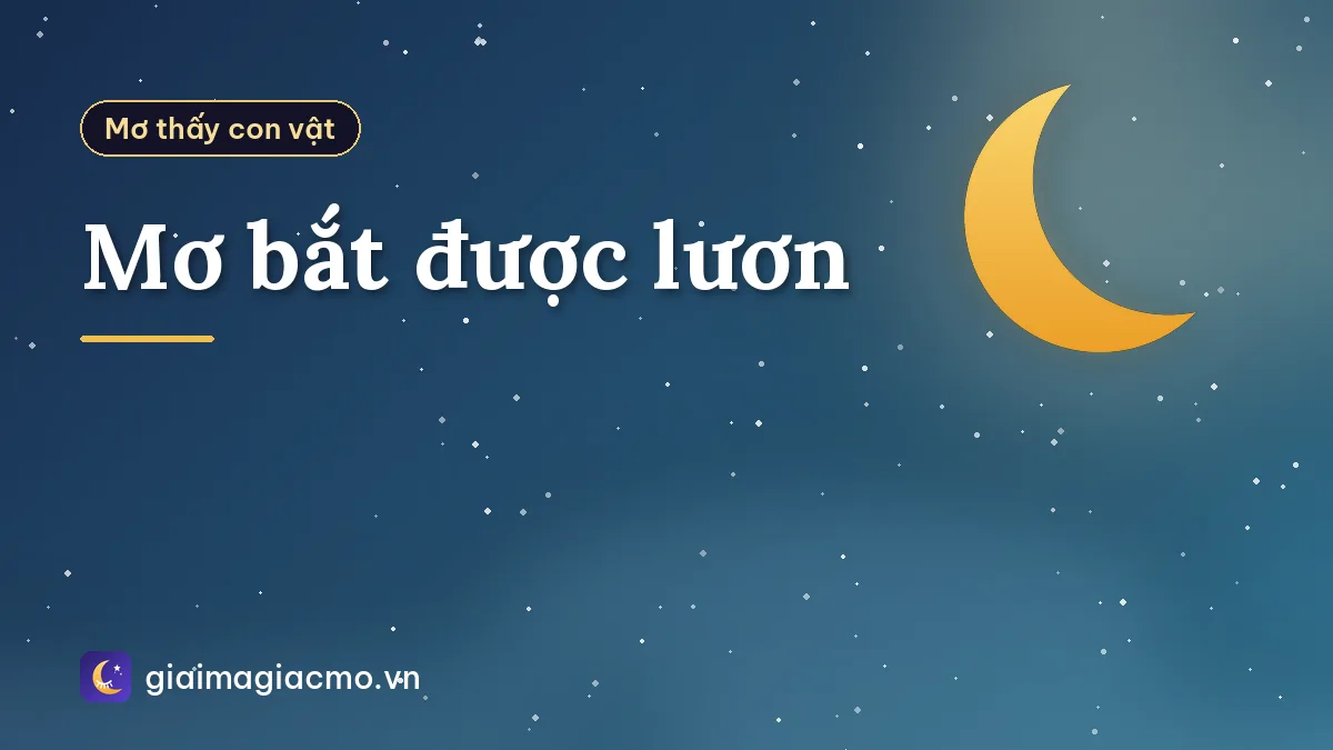 Mơ bắt được lươn