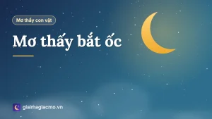 Minh hoạ giấc mơ đi bắt ốc ngoài ruộng nước