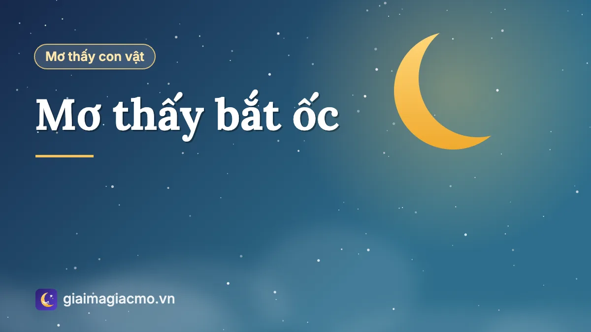 Minh hoạ giấc mơ đi bắt ốc ngoài ruộng nước