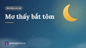 Minh hoạ giải mã giấc mơ thấy bắt tôm bằng vó