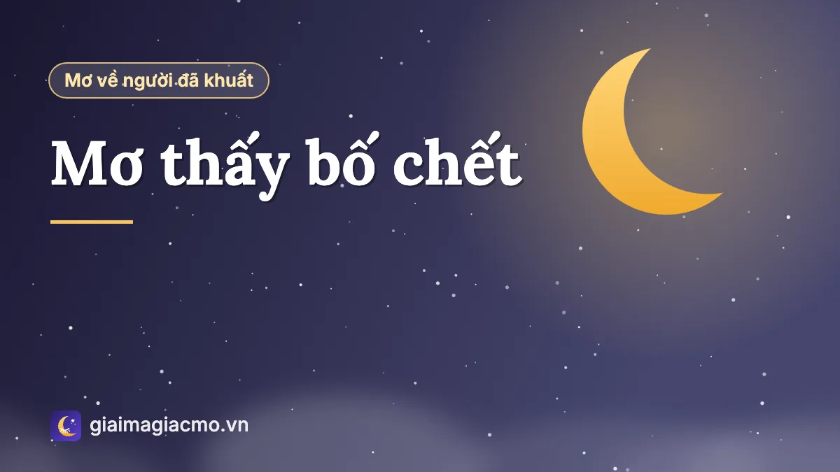 Minh hoạ người con ngồi bên cửa sổ nhớ về người cha sau giấc mơ