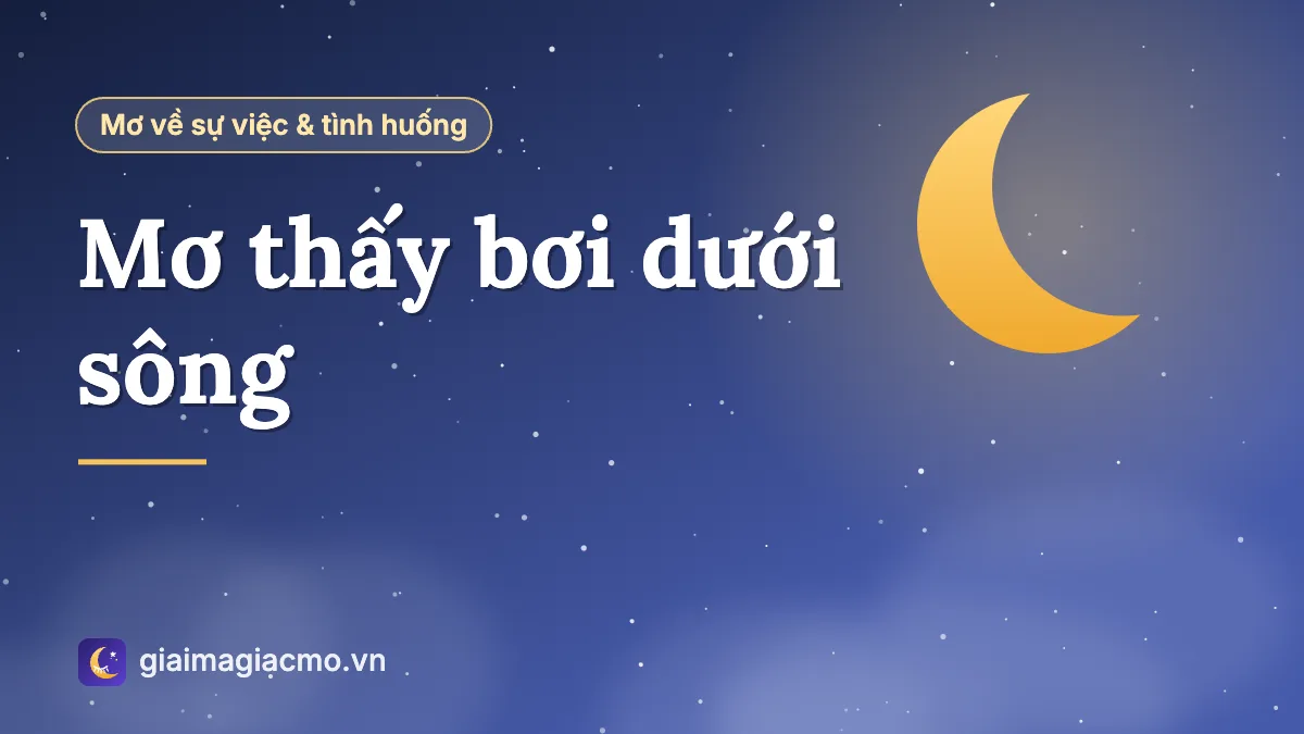 Minh hoạ giải mã giấc mơ thấy bơi dưới sông