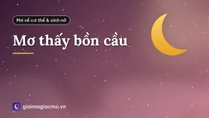 Mơ thấy bồn cầu