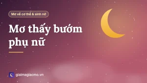 Minh hoạ giải mã giấc mơ thấy bướm phụ nữ