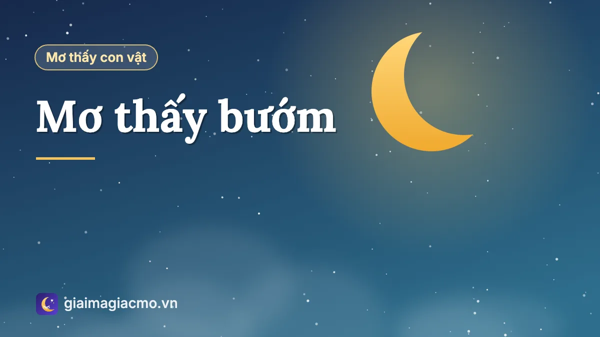 Minh hoạ những cánh bướm nhiều màu bay giữa vườn hoa trong giấc mơ