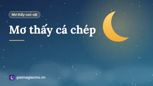 Minh hoạ giải mã giấc mơ thấy cá chép đỏ và vàng bơi trong hồ