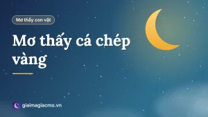 Minh hoạ cá chép vàng bơi trong hồ nước trong trong giấc mơ