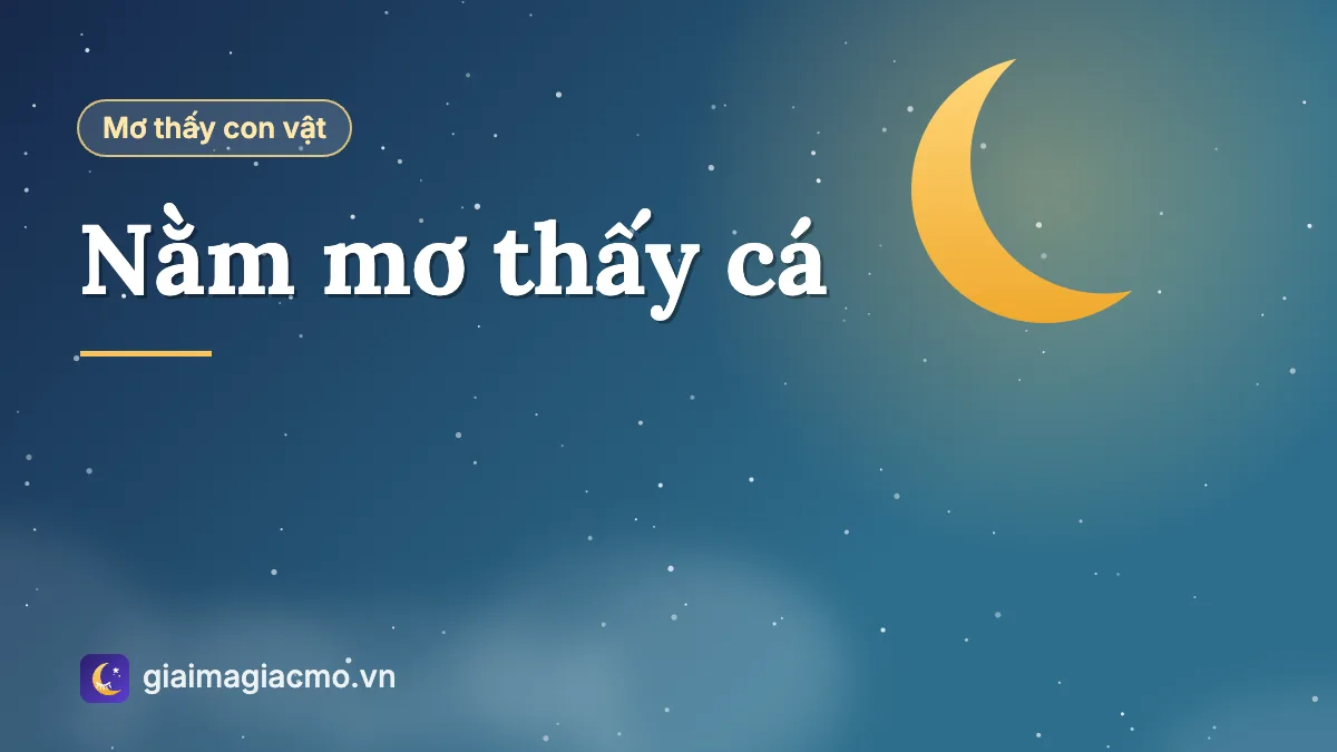 Đàn cá bơi trong ao nước trong, minh hoạ giấc mơ thấy cá