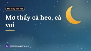 Mơ thấy cá heo, cá voi