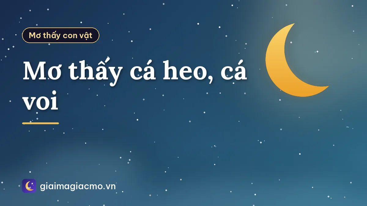 Mơ thấy cá heo, cá voi