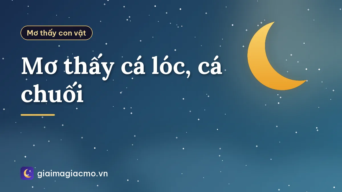 Mơ thấy cá lóc, cá chuối