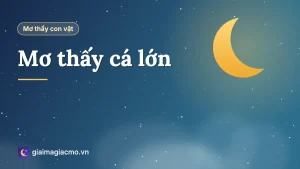 Minh hoạ giấc mơ thấy cá lớn, cá to bơi dưới nước