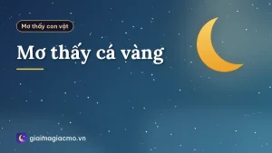Mơ thấy cá vàng