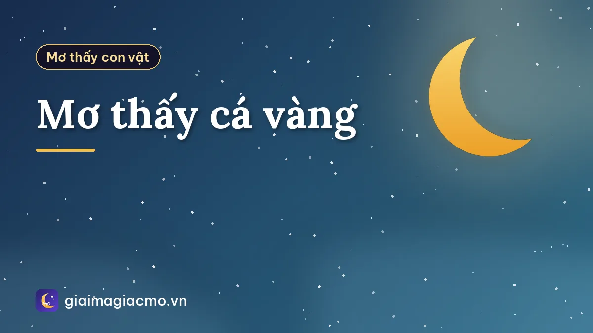 Mơ thấy cá vàng