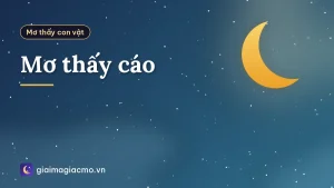 Mơ thấy cáo