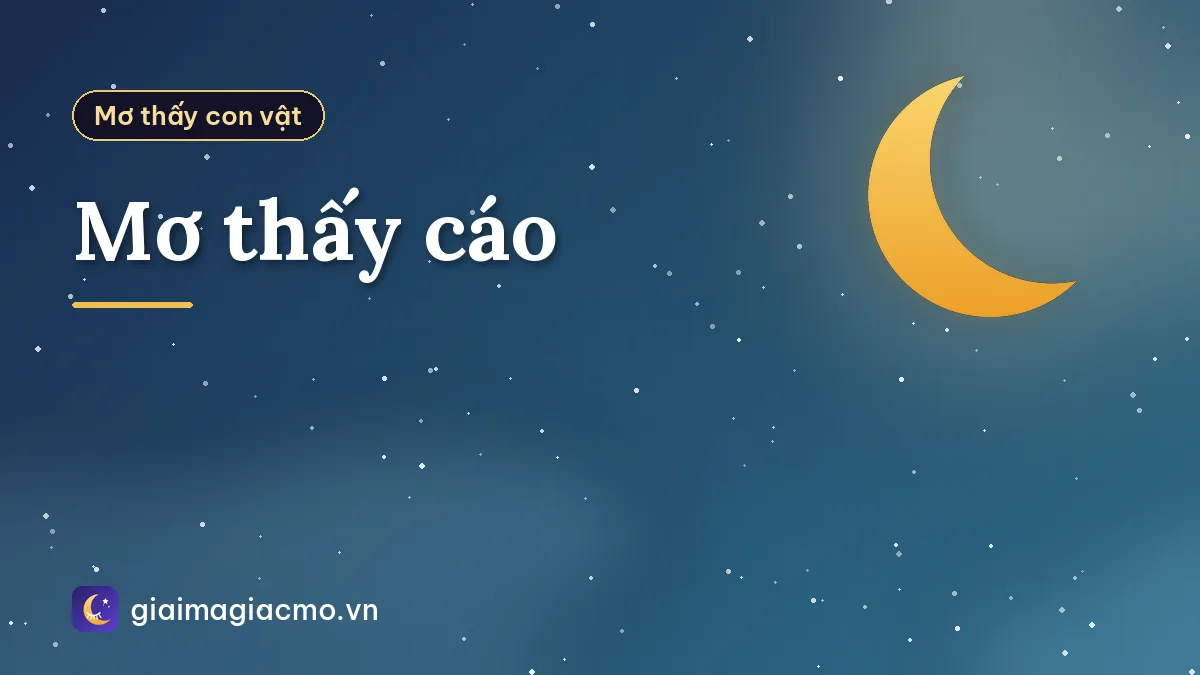 Mơ thấy cáo