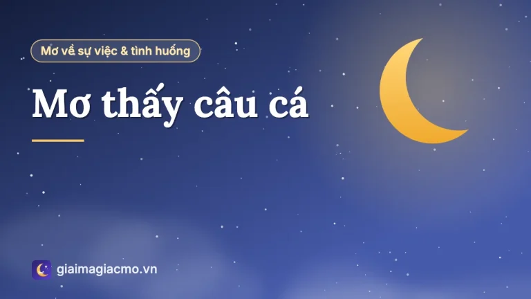 Mơ thấy câu cá: Ý nghĩa giấc mơ đi câu và mơ câu cá đánh con gì