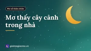 Mơ thấy cây cảnh trong nhà