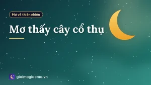 Mơ thấy cây cổ thụ