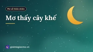Mơ thấy cây khế