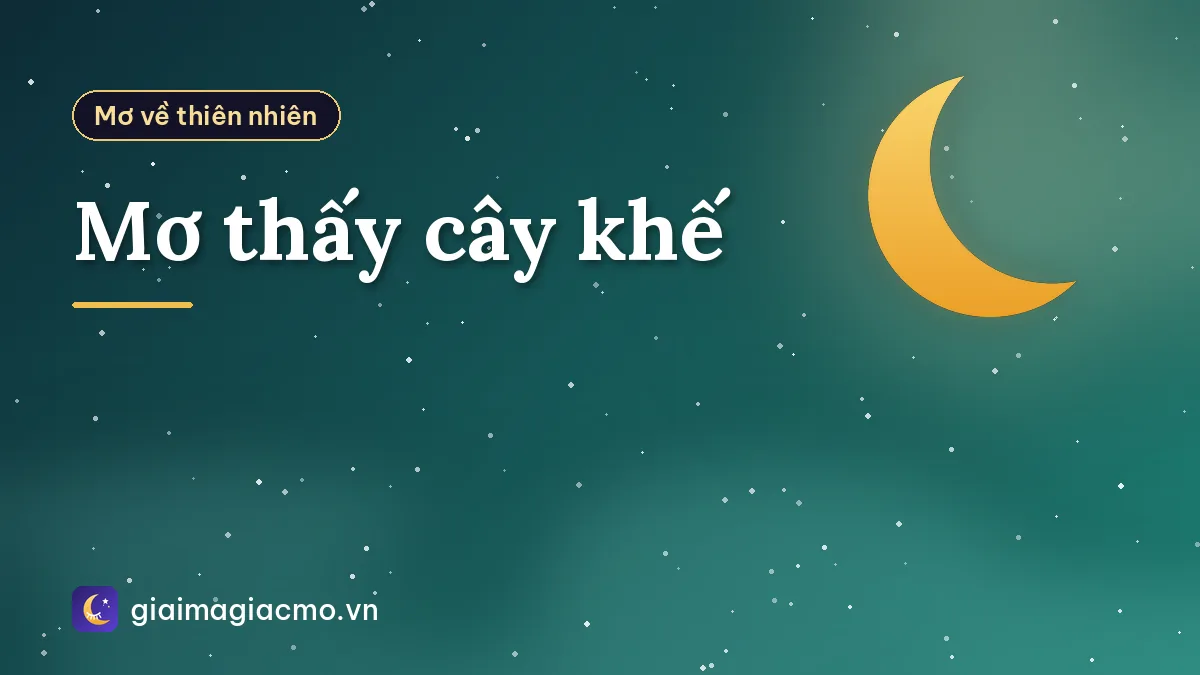Mơ thấy cây khế