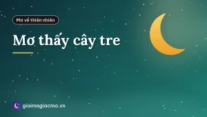 Mơ thấy cây tre